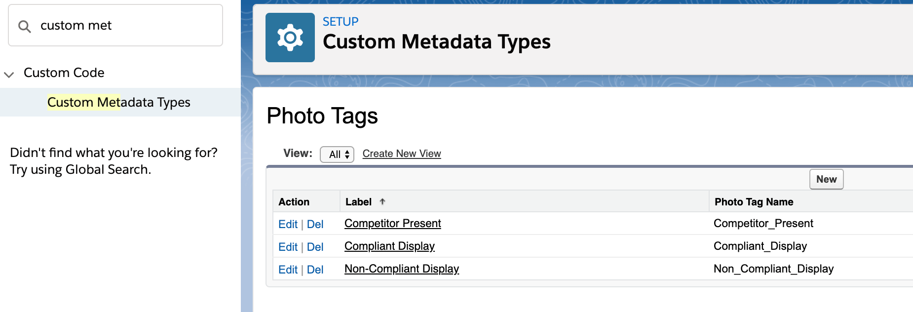 Photo_Tag_Custom_Metadata_Records.png